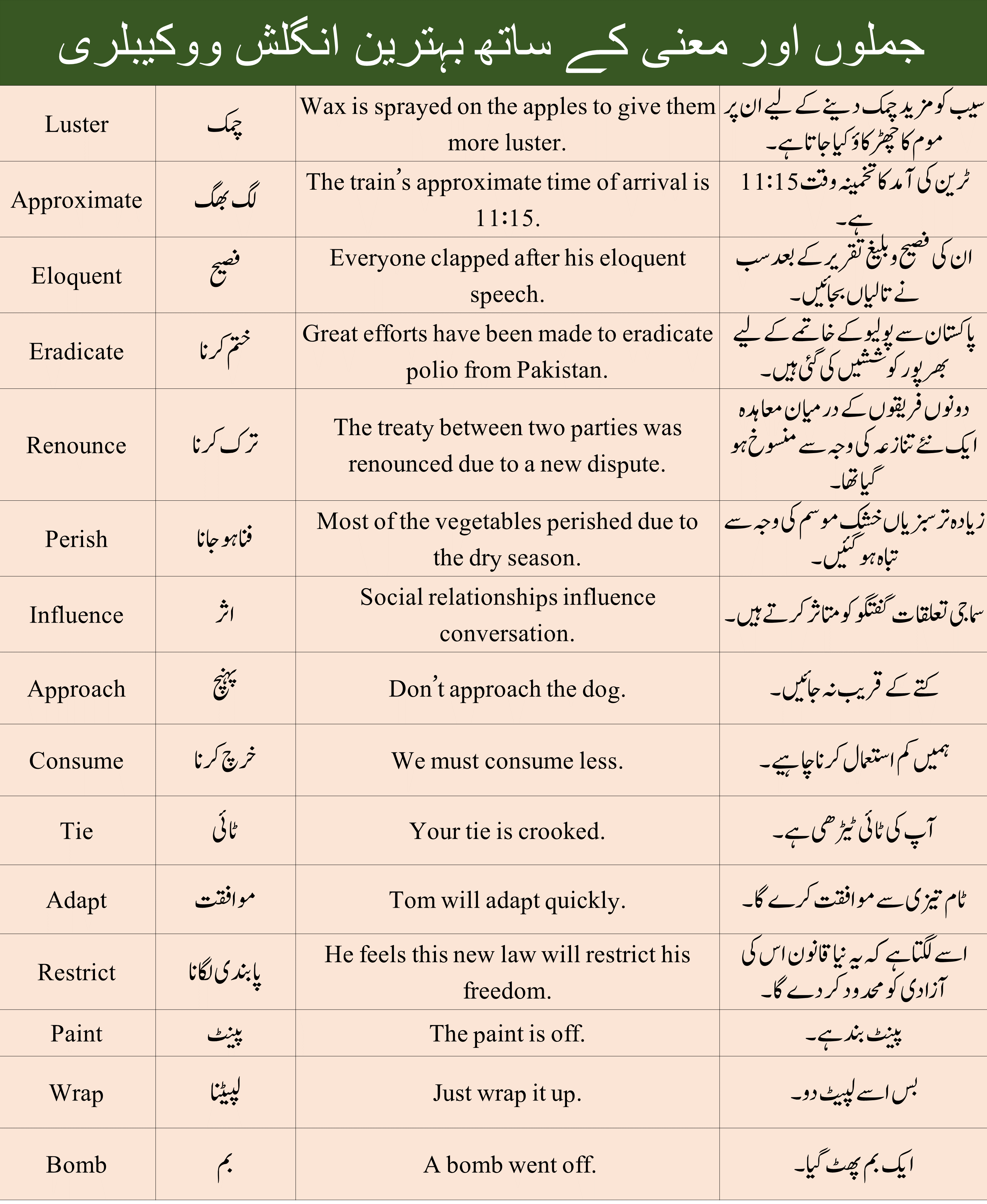 Mix Vocabulary With Meanings And Sentences In Urdu And Hindi Examples