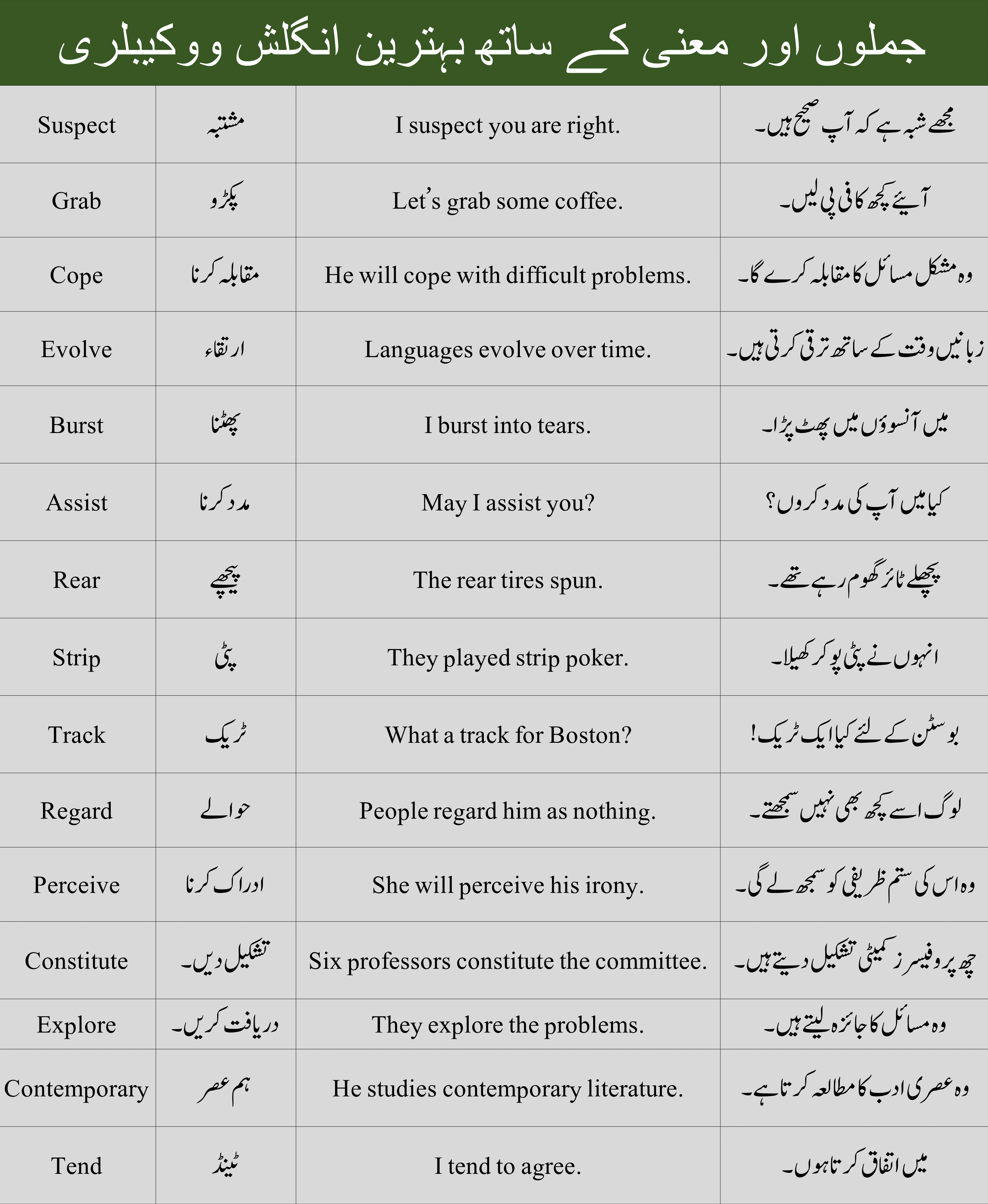 Vocabulary With Meanings And Sentences In Urdu Hindi Examples