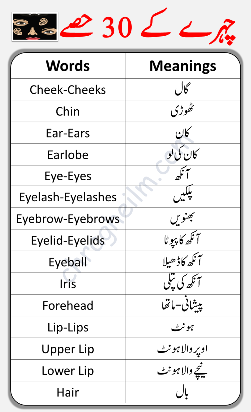 30 Parts Of Face In English And Urdu PDF Charagheilm   Slide1 1 810x1330 