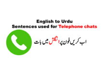 I am busy at the moment, can I call you laterمیں ابھی مصروف ہوں کیا میں بعد میں کال کرسکتاہوںMain abhi masrof hun kia main baad main call kar sakta hun?Could I speak to Almer please?کیا میں علمیر سے بات کر سکتا ہوں؟Kia main ali sy baat kar sakta hun?I will get back to you in a moment.میں ابھی آپکی طرف واپس آتا ہوں۔Main abhi apki taraf wapis ata hunHe is not here, would you like to leave a message.وہ یہاں نہیں ہیں،آپ کوئی میسج چھوڑنا چاہیں گےWo yahan nahi hain,ap koi message chorna chahein gy?I couldn’t get you.مجھے آپکی بات سمجھ نہیں آئی۔Mujhy apki baat samajh nai aai.I better get going, I will call you later.مجھے ابھی جانا چاہیے، میں بعد میں کال کروں گاMujy abhi jana chahiye, main baad main call karungaHe hanged up abruptly.اس نے اچانک کال رکھ دی۔Us ny achanak call rakh di.What’s moreاور سناؤOr sunao!Nothing special! کچھ خاص نہیںKuch khas nhiLets meet upچلو ملتے ہیںChalo milty heinOk! See you laterاچھا ! پھر ملیں گیںAcha phir milen geyDo message about detailsتفصیل کے بارے میں میسج کر دیناTafseel ky bary mein message kr dena
