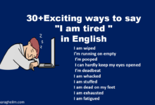 I am wiped I’m running on empty  I’m pooped  I can hardly keep my eyes opened  I’m deadbeat I am whacked I am stuffed